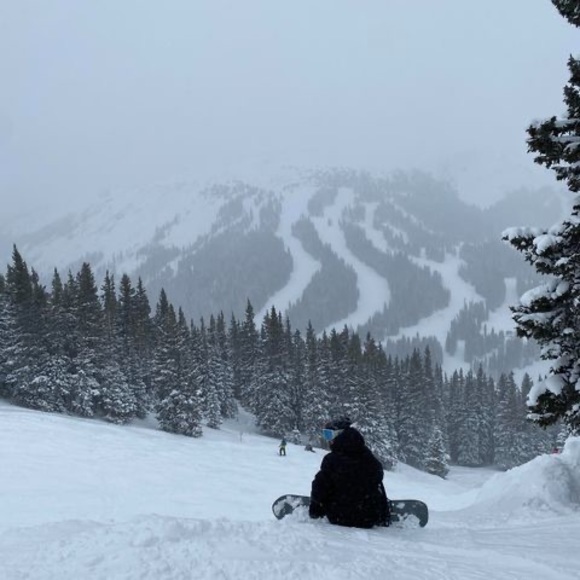 Meet your Posher, Cameron - Picture 1 of 1